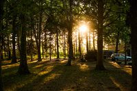 2012-2013 Képgalériák